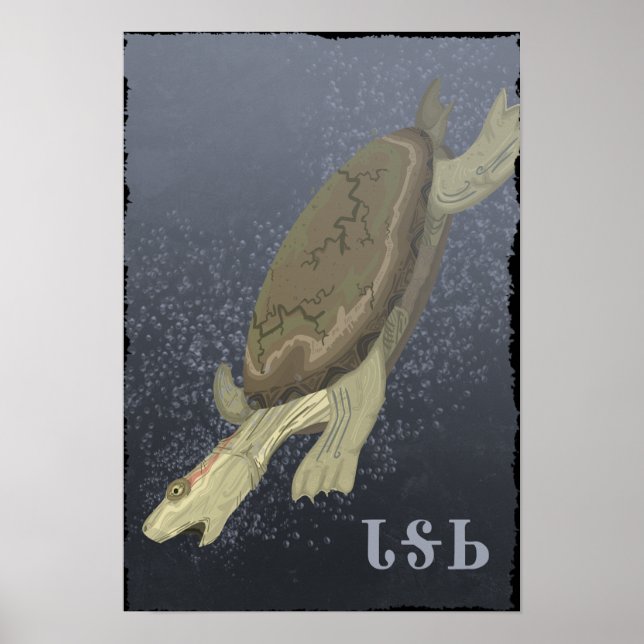 Turtle Dives for Deep Poster (Framsidan)