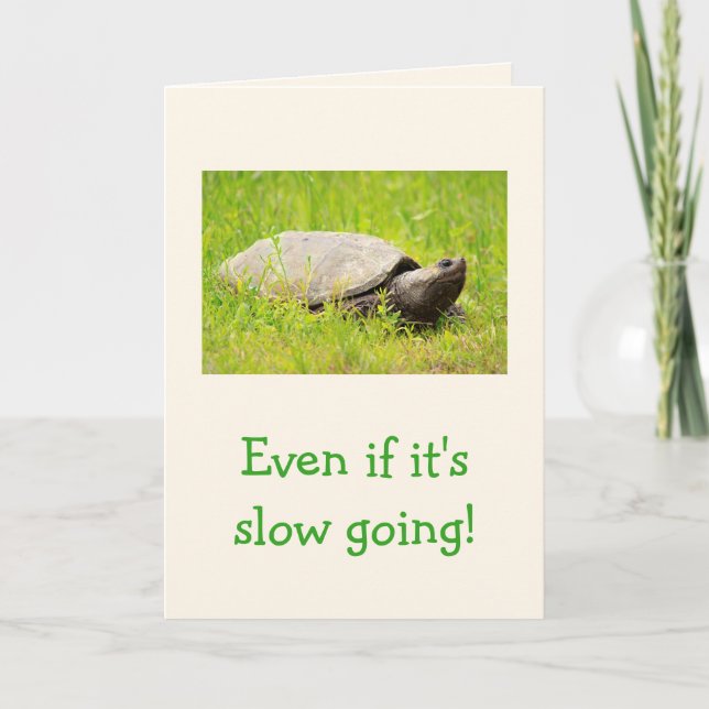 Turtle Encouragement Kort (Framsida)