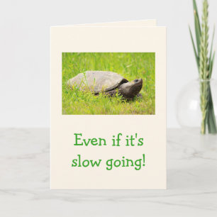Turtle Encouragement Kort