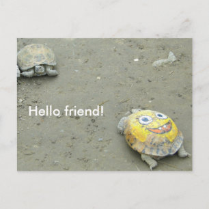 Turtle fan av SvampBob Vykort