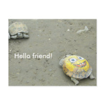 Turtle fan av SvampBob