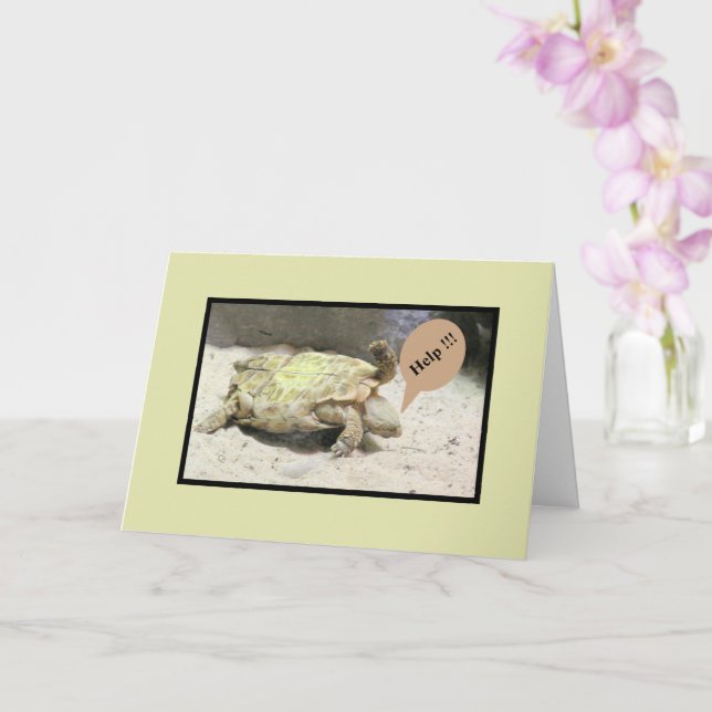 TURTLE FLIPPADE ÖVER/SORRY ÖVER DIN OLYCKA/HUMO KORT (Orkide)