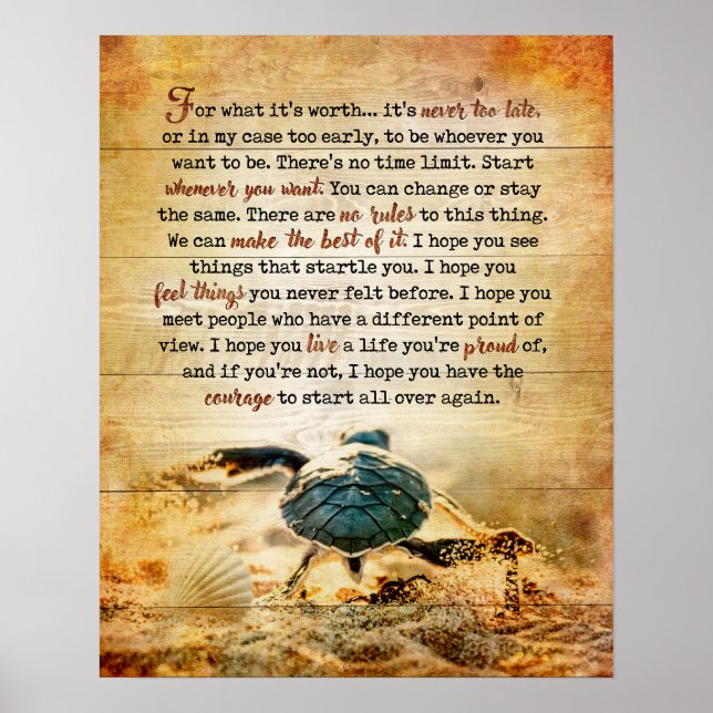 Turtle for What Inspirational & Motivation Poster (Framsidan)