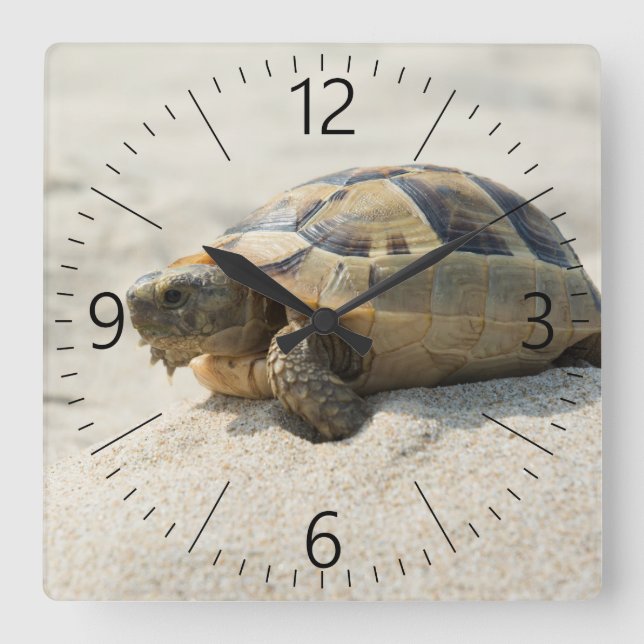 Turtle Fyrkantig Klocka (Framsida)