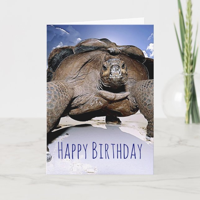 Turtle Grattis på födelsedagen Greeting Card Kort (Framsida)