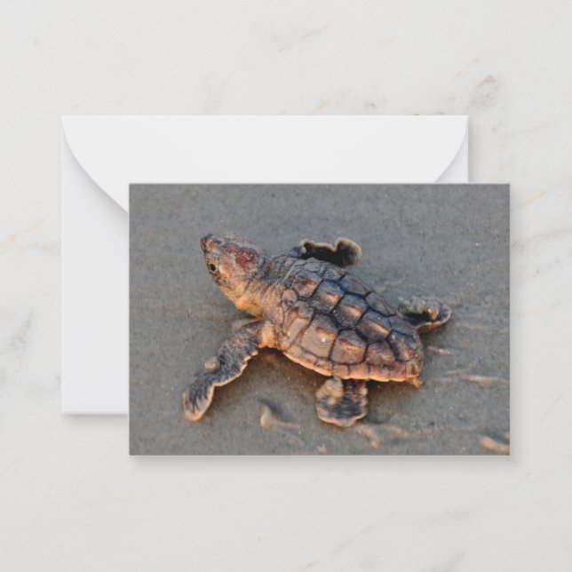 Turtle Hatchling-anteckningskort Anteckningskort (Framsida)