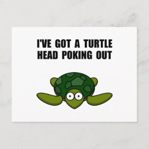 Turtle Head Poking Out Vykort