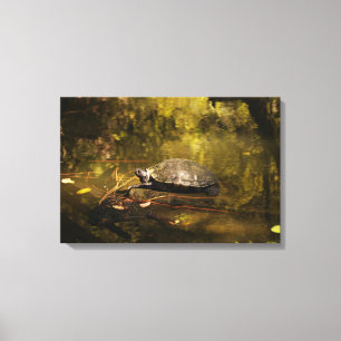 Turtle in Natural Environment - Kanvastryck