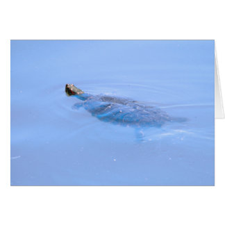 Turtle in Pond Hälsningskort