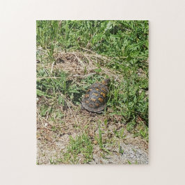 Turtle Jigszle Puzzle Pussel
