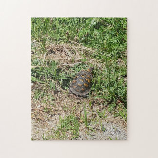 Turtle Jigszle Puzzle Pussel