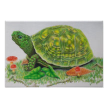 "Turtle Kärlek" Original poster av Baylen Parada (