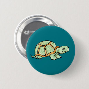 Turtle Knapp