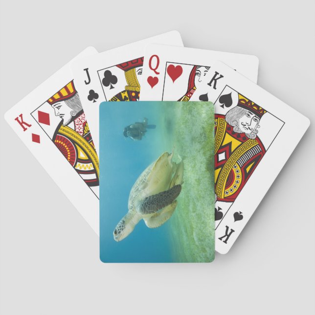 Turtle Kortlek (Baksidan)