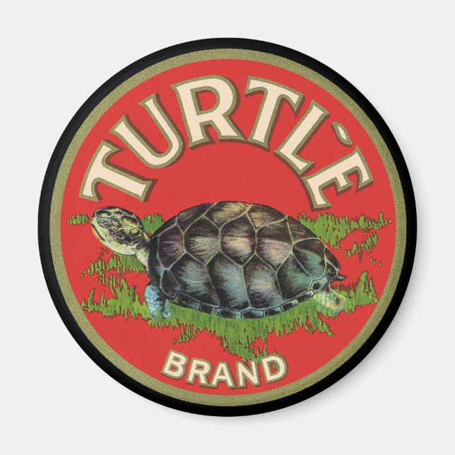 Turtle Magnet (Framsidan)