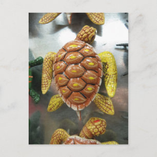 Turtle Magnet Vykort