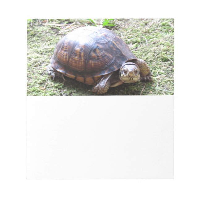 Turtle - Mossy Väg Anteckningsblock (Framsida)