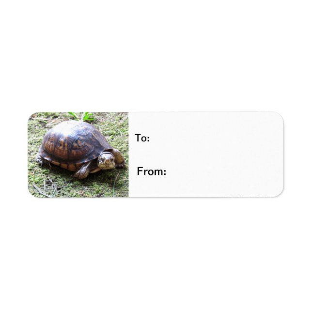 Turtle - Mossy Väg Returadress Etikett (Framsidan)