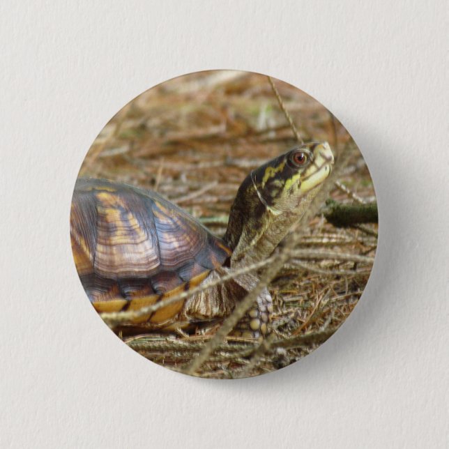 Turtle - Nacke Out Knapp (Framsida)