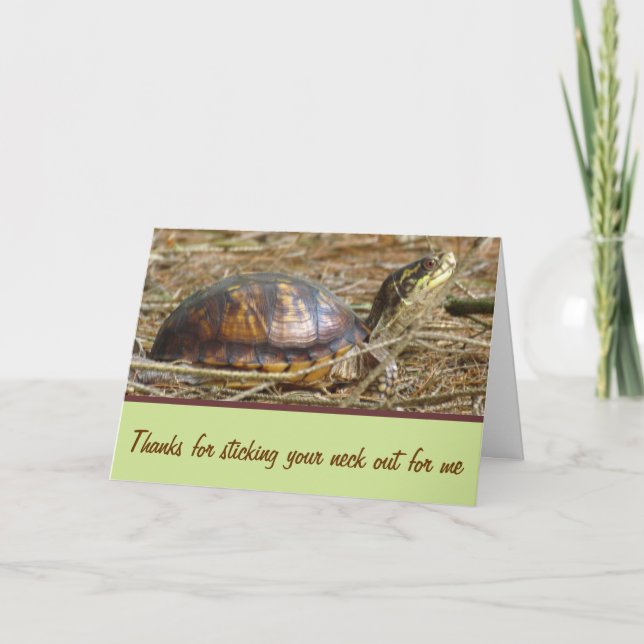 Turtle - Nacke Out Kort (Framsida)