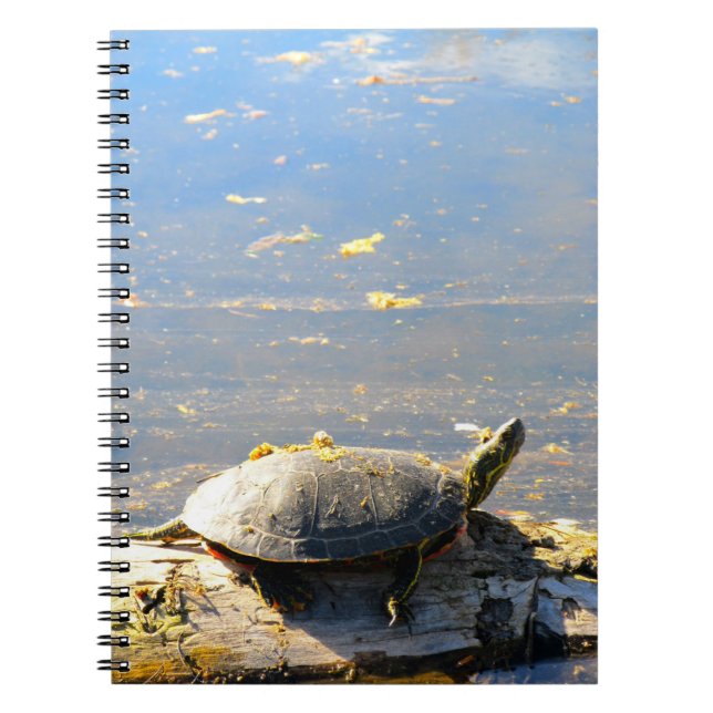 Turtle Notebook Anteckningsbok (Framsidan)