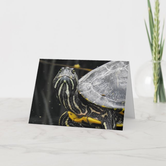 Turtle Notecard Kort (Framsida)