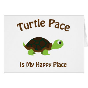 Turtle Pace OBS Kort