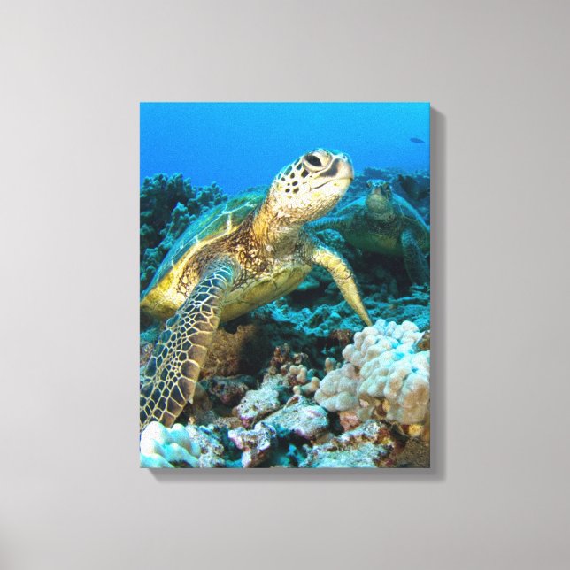 Turtle Pair Canvastryck (Framsida)
