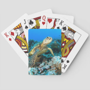 Turtle Pair Casinokort