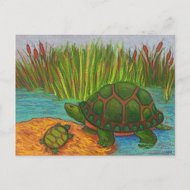 Turtle Pals Vykort (Framsida)