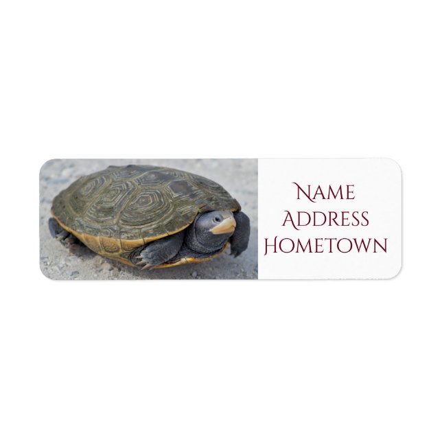 Turtle Photo Returadress Etikett (Framsidan)