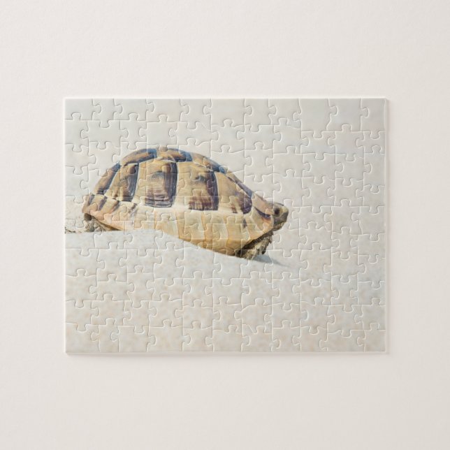 Turtle Pussel (Horisontell)