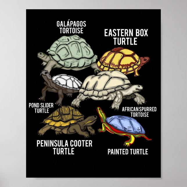 Turtle Reds Galapagos Tortoise Species Turtle Poster (Framsidan)