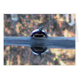 Turtle Reflection Card Hälsningskort