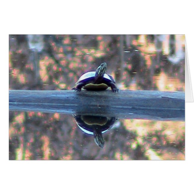 Turtle Reflection Card Hälsningskort (Framsidan Horizontal)