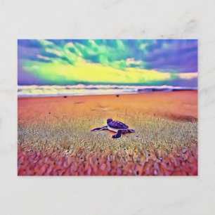 Turtle Reptile Animal Vykort