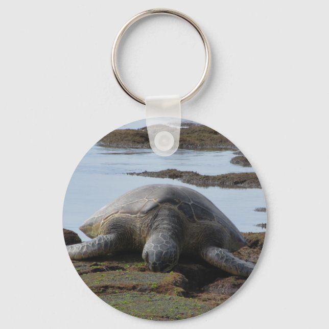 Turtle Resten på Sten Nyckelring (Framsida)