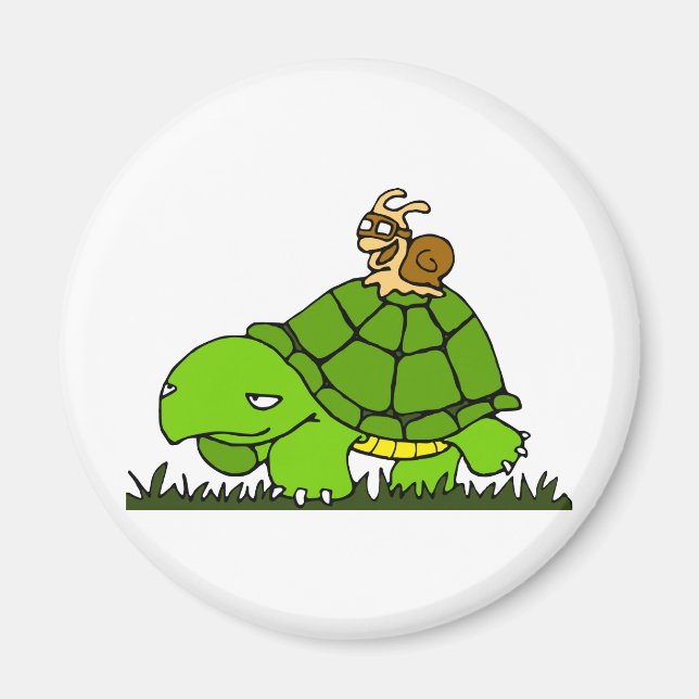Turtle ride magnet (Framsidan)