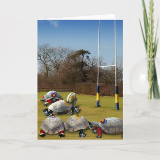 Turtle Rugby Kort