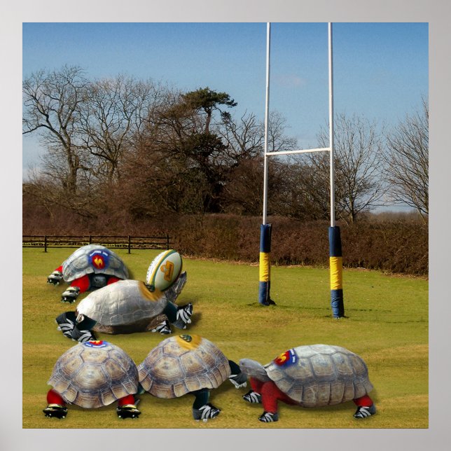 Turtle Rugby Poster (Framsidan)