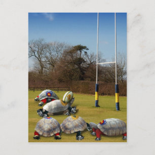 Turtle Rugby Vykort