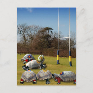 Turtle Rugby Vykort