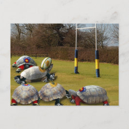 Turtle Rugby Vykort