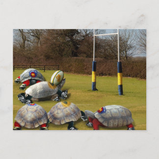 Turtle Rugby Vykort