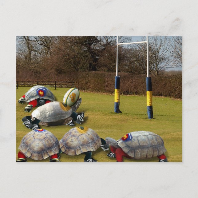 Turtle Rugby Vykort (Framsida)