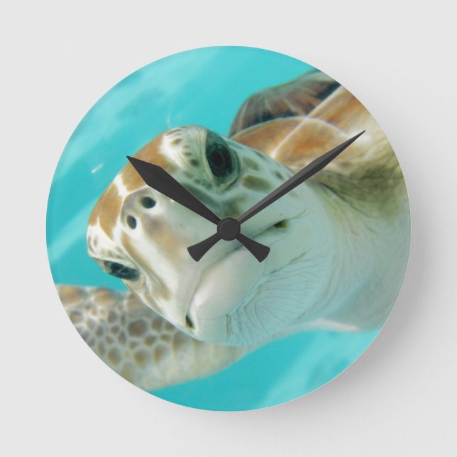 Turtle Rund Klocka (Framsida)