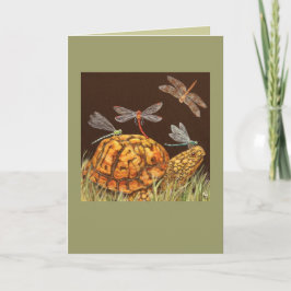 Turtle School buss-kort Kort