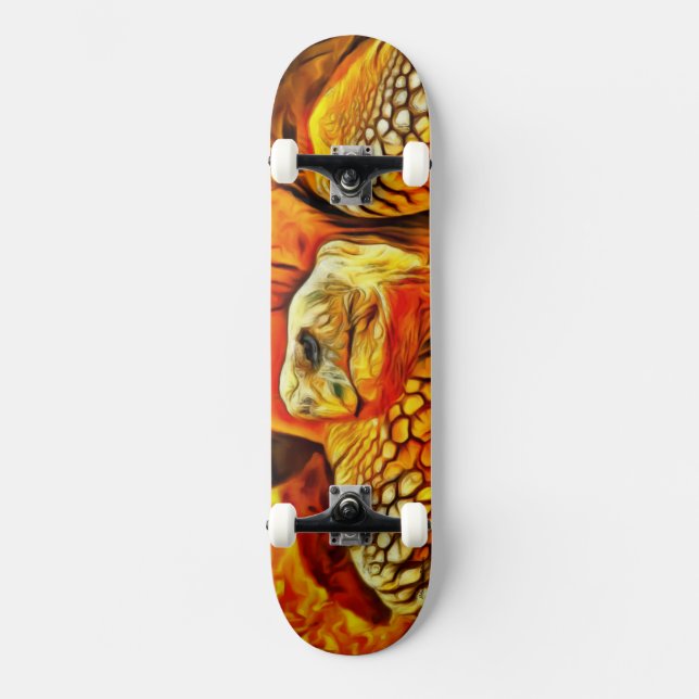 Turtle Skateboard (Framsida)