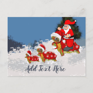 Turtle Sleigh Vykort