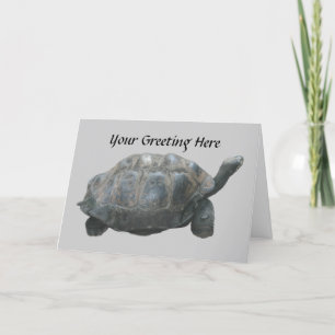 Turtle Sloppe Down Greeting Card Kort